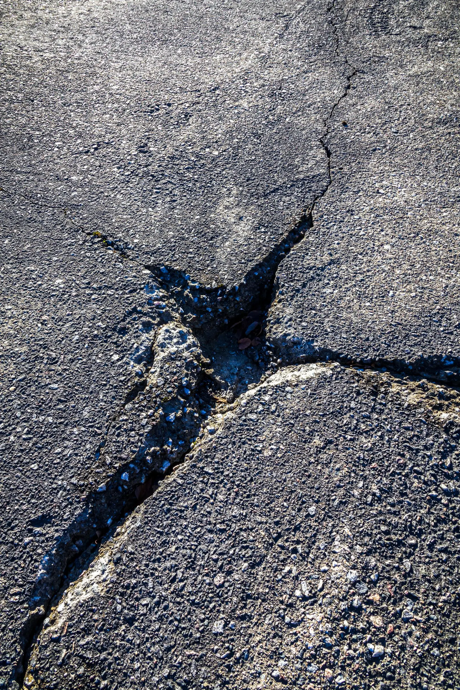 Close-up detail of alligator cracking in an asphalt surface